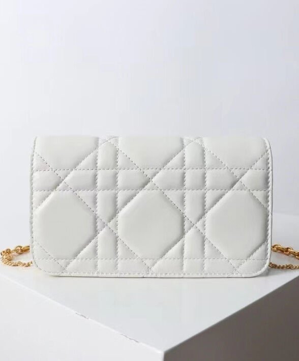 Christian Dior Miss Caro chain bag